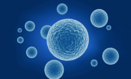 荣澜生物小课堂：细胞与免疫细胞的基础概念与应用