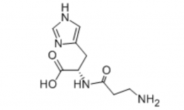 荣澜生物小课堂：到底是谁还不知道肌肽是什么